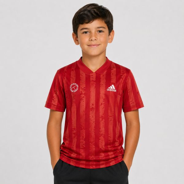 adidas F.Lift Boys' Tennis T-Shirt GE4821